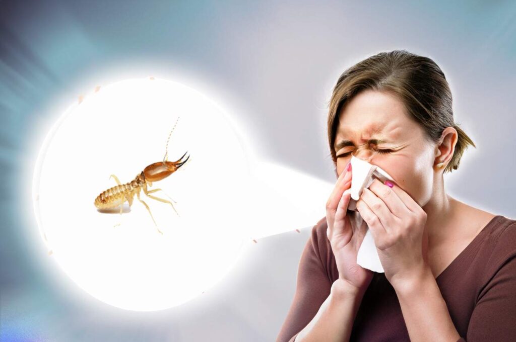 Allergies and Asthma from Termite