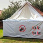 How Long Does Termite Tenting Take