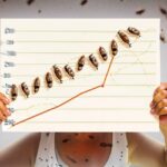 How Many Termites Infestation