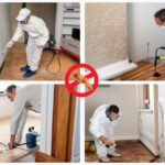 Which is the best termite treatment